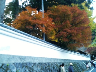 20101123 021