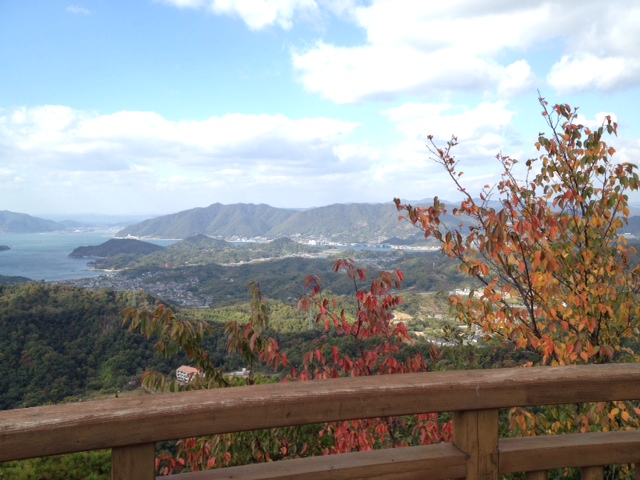 写真 5 (2)